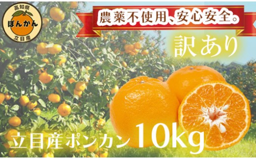 【 早期予約開始 】 ポンカン 訳あり 10kg 2026年 1月下旬より順次発送 収穫分 無農薬 ブランド サイズ混合 家庭用 立目産ぽんかん 柑橘 みかん 高知県 須崎市 MO005