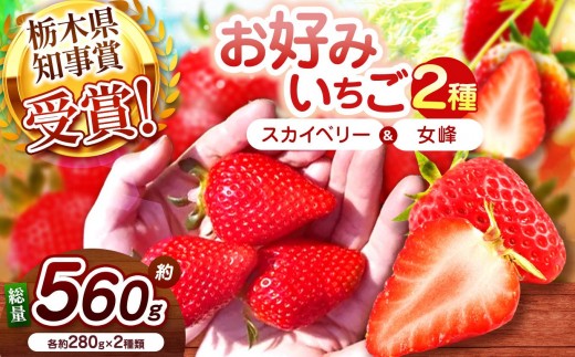 【2027年先行予約】大粒スカイベリー×伝統の女峰 食べ比べセット 560g
