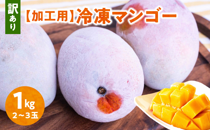 【2025年先行予約】「訳あり」加工用冷凍マンゴー1kg（2〜3玉）/沖永良部島産　W009-078u