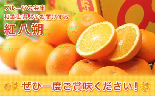 紅八朔（ポッポ）10kg（3L〜L）JAわかやま 紀の里地域本部《3月中旬-4月中旬に出荷予定(土日祝除く)》和歌山県 岩出市 産地直送 みかん 八朔 柑橘 果物 フルーツ ビタミンC たっぷり