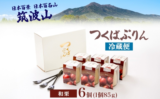 つくばぷりん 和栗ぷりん 6個 プリン ぷりん 和栗 くり クリ 栗 牛乳 ミルク 卵 とろける スイーツ 贅沢 洋菓子 おやつ 冷菓 和スイーツ ご褒美 デザート 人気 グルメ お取り寄せ ギフト 