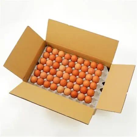 岩田のおいしい卵　小玉98個+破卵保障10個入り_卵・乳製品 卵  たまご タマゴ 玉子_【配送不可地域：離島】【1092662】