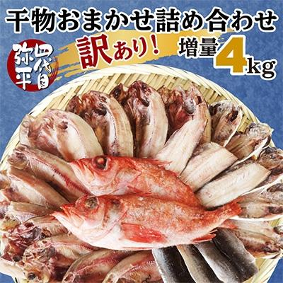 ふるさと納税 沼津市 【訳あり】干物 4kgおまかせセット 人気の海鮮詰め合わせ(アジ、ホッケ、他)