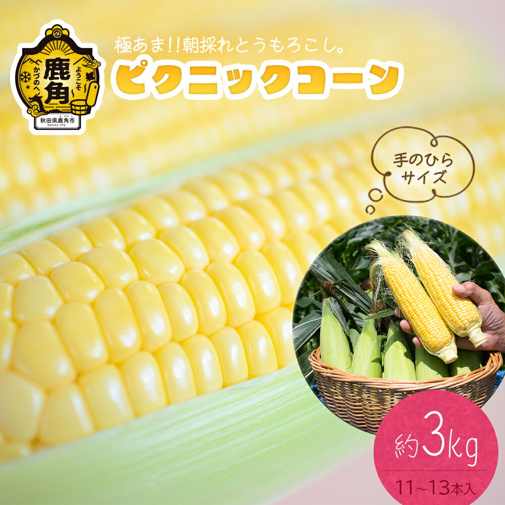 【ふるさと納税】《 先行予約 》 とうもろこし ピクニックコーン 約 3kg（11～13本）朝採り 甘い 秋田県 鹿角産 新鮮 野菜 安全 トウモロコシ スイートコーン 中元 お歳暮 母の日 父の日 グルメ ギフト 故郷 秋田 あきた 鹿角市 鹿角 送料無料 【さとう農園】