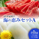 【ふるさと納税】伊平屋村の海の恵みセットA(マグロ500g、セーイカ500g)【配送不可地域：離島】【1497113】