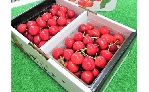 さくらんぼ（紅秀峰）１ｋｇ　秀品　２Ｌサイズ　0096-2601