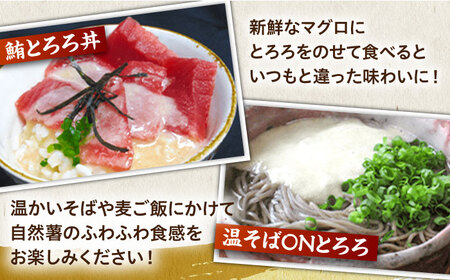 【全6回定期便】自然薯麦とろセット（4人前）＜自然薯王国＞ 那珂川市 定期便 自然薯 とろろ 野菜 健康 個包装 そば お好み焼き 白米 86000 86000円 [GAH010]