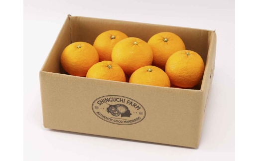 ＜木成り完熟＞甘夏 5kg 『ほのかな苦味とスッキリした甘み』＜C70-26＞_みかん ミカン 甘夏 あまなつ 甘夏みかん 柑橘 果物 フルーツ えひめ 愛媛県 八幡浜市 送料無料【1470662】 YWTK026