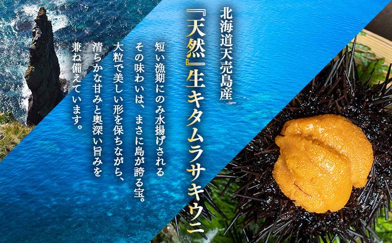 【北海道 天売島産】 ★2026年先行予約★ 天然 キタムラサキうに 塩水パック 100g×1パック | ウニ うに ムラサキウニ 紫うに 天然うに 北海道うに 高級うに 海鮮 海産物 生うに 塩水う