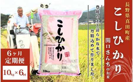 米 令和7年産 定期便 6ヵ月 コシヒカリ 関口さんちのお米 10kg お米 白米 ブランド米 定期 6回