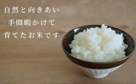 《令和7年産》春の米　玄米　5kg ／ 米 お米 こめ コメ ごはん 無農薬 農薬不使用 春の米 玄米 令和7年産 新米 5kg 千葉県 東庄町 春子ファーム 産地直送 産直 送料無料