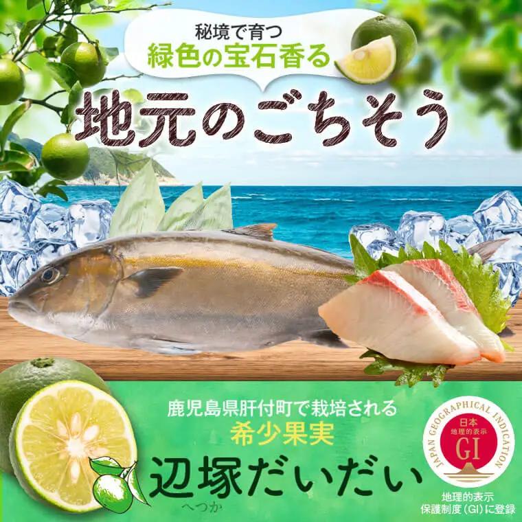カンパチ 鮮魚 約3.5kg 1本 産地直送 鮮魚BOX【高山漁業協同組合】B08002