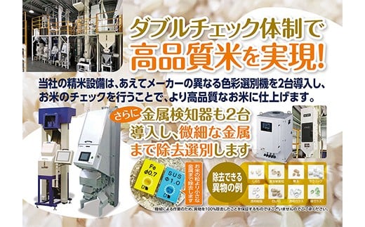 令和7年産 福島県須賀川産 ミルキークイーン 白米10kg(5kg×2袋) 米 お米 コメ ごはん ご飯 F7X-0606