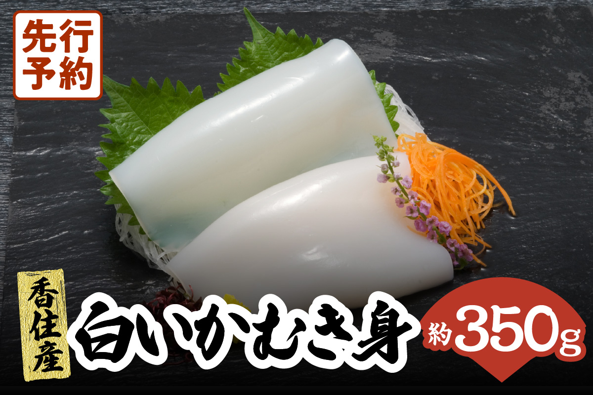 【刺身用白いかむき身　約350ｇ】いか イカ 白いか 剣先イカ 刺身 新鮮 鮮度抜群 酒の肴 おつまみ 香美町 香住 宿院商店 22000円 33-32