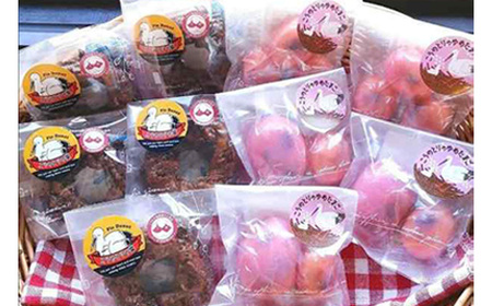 No.510 こうのとりの焼き菓子　10個セット