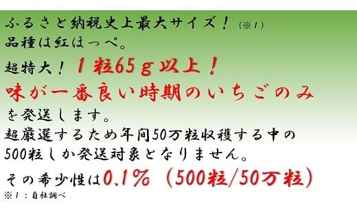 超特大いちご(紅ほっぺ)　460g以上(6〜7粒、１粒65g以上)・O037-17／オオダケイチゴ 