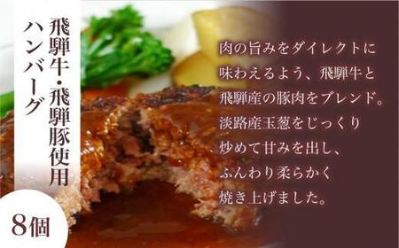 【2月配送】キッチン飛騨 飛騨牛・飛騨豚使用ハンバーグ ＆ ソーセージセット（2種合計12個）| レトルト ハンバーグ ソーセージ 惣菜 飛騨牛 豚 肉 飛騨高山 飛騨ハム CQ023VC02