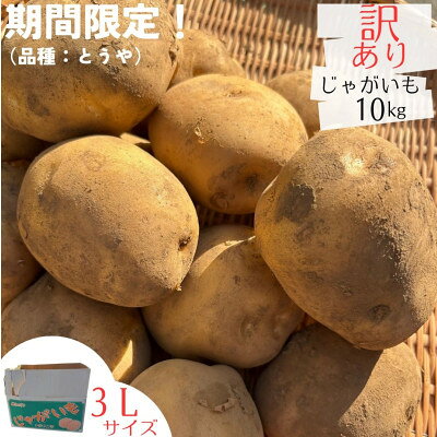 【ふるさと納税】産地直送!訳ありお芋屋さんのBigじゃがいも(品種:とうや)10kg【配送不可地域：離島・沖縄県】【1645283】
