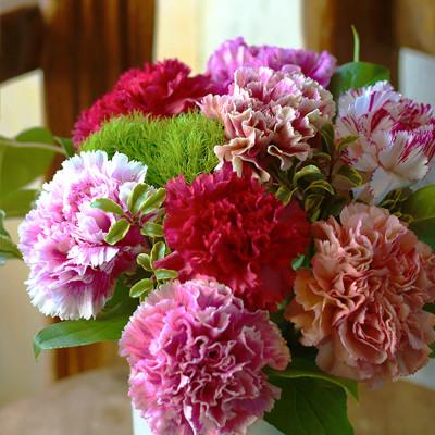 ふるさと納税 酒田市 「スイート10カーネーションアレンジ 」10本に込めた特別なありがとうを贈る母の日ギフト |  | 03