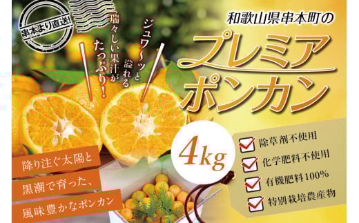 【先行予約】極上！プレミアポンカン 2L～3Lサイズ 4kg 【1月上旬～2月上旬発送予定】 柑橘 ぽんかん フルーツ みかん ミカン オレンジ 限定 旬【sse102】