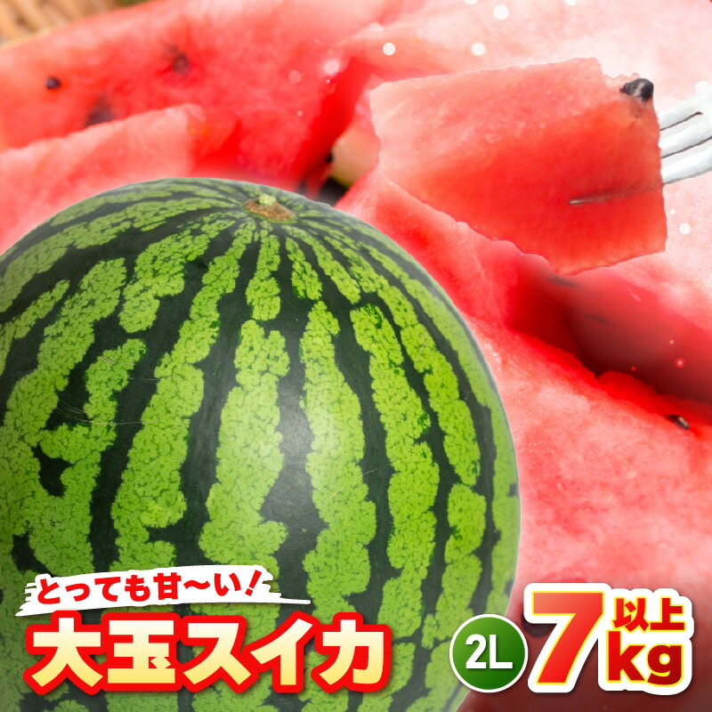 【ふるさと納税】【先行予約】坂井市三里浜砂丘地産 大玉スイカ 2Lサイズ 1玉（7kg以上） 【2026年6月上旬以降順次発送予定】 【スイカ 西瓜 すいか デザート 果物 くだもの 夏 ジューシー 高糖度 お取り寄せ グルメ 産地直送】