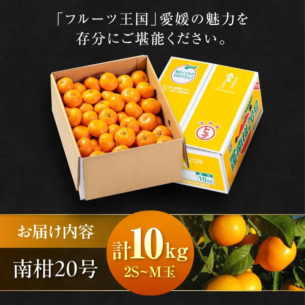 みかん 10kg（南柑20号）みかん[AGAO007]