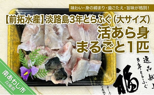 
【冷蔵配送】淡路島3年とらふぐ（大サイズ）活あら身まるごと1匹◆配送10月8日～3月31日
