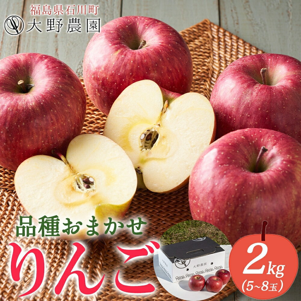 【ふるさと納税】りんご 2kg 品種お任せ 5～8玉 ｜ リンゴ 旬 ランダム 林檎 果物 フルーツ 甘い アップル 産直 大野農園 福島県 石川町【19009AA0101】