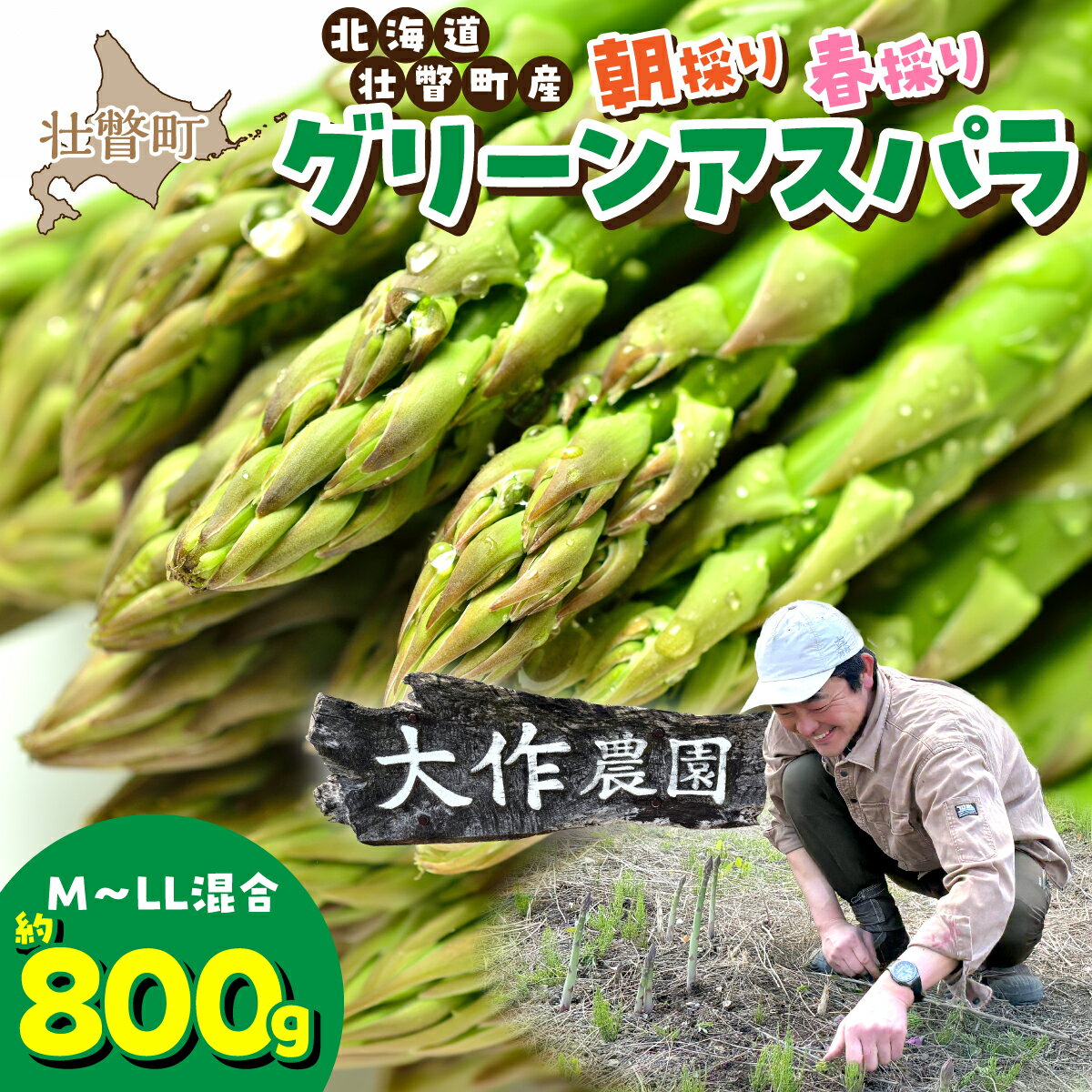 【ふるさと納税】＜2026年4月上旬よりお届け＞【朝採り】北海道壮瞥町産 春採りグリーンアスパラM〜LL混合 約800g 【 朝採り 新鮮 グリーンアスパラ アスパラ あすぱら 春 春アスパラ 野菜 甘い 北海道産 お取り寄せ 送料無料 】 SBTR005