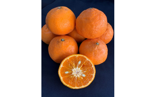 
                  【数量限定】【はるみかんの王様】カラマンダリン（カラー）約3kg　※サイズ指定不可
                