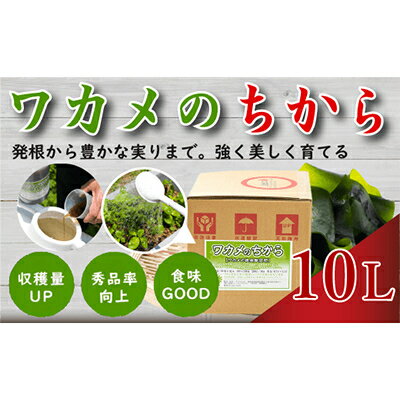 【ふるさと納税】ワカメのちから　10L箱【1495820】