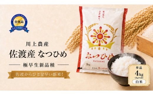 【なつひめ 4kg】令和8年産 佐渡産なつひめ 4kg(2kg×２袋) 精米 川上農産 | 新潟県産なつひめ 新潟産なつひめ 新潟なつひめ 佐渡島産なつひめ 佐渡産なつひめ お米 米 なつひめ ナツヒメ 白米 精米 おこめ コメ 4キロ 小分け にいがた さど 新潟県 佐渡市