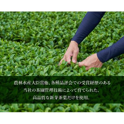 ふるさと納税 南九州市 知覧深蒸し茶 かいもんみどり3本セット |  | 01