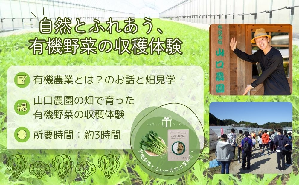 有機農業 収穫体験 ツアー お土産付 5名様迄／ 農家 有機野菜 オーガニック 無農薬 SDGs 関西 チケット カレー 山口農園 奈良県 宇陀市 ふるさと納税