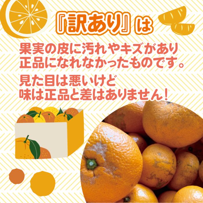 訳あり みかん 【先行受付】【2025年11月以降発送】甘いだけじゃない！ 甘みと酸味の 訳あり早生みかん ＜約5kg＞ 広島 三原 佐木島 鷺島みかんじま 017015