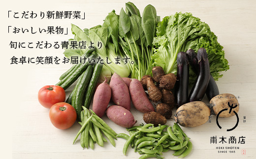 H-13 【１２ヶ月お届け】旬のおまかせ野菜BOX定期便