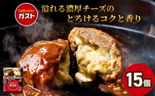 すかいらーく ガストチーズINハンバーグ15個 【ふるさと納税 人気 おすすめ ランキング ハンバーグ チーズ すかいらーく ガスト チーズINハンバーグ 湯煎 温めるだけ 簡単 小分け 個包装 おかず 惣菜 簡単調理 湯せん レトルト 千葉県 山武市 送料無料】SMCR003