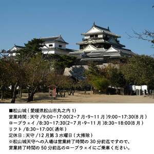 松山・道後しらさぎパック(道後ぐるめクーポン付き) チケット 3000円分 温泉 旅行 トラベル チケット 観光 人気 おすすめ【KBT002】