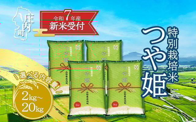 
            【新米受付 10月発送】R7年産 つや姫 選べる内容量！ 2kg/5kg/10kg/15kg/20kg（入金期限：2025.9.15）新米 新米予約 先行受付 令和7年産米 米 山形県
          