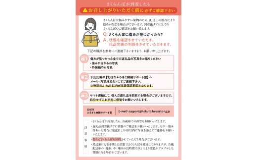 【2027年先行予約】完熟大玉・さくらんぼ（2～3Lバラ約500g）　毎日農業記録賞 全国最優秀賞 受賞 さくらんぼ 佐藤錦 紅秀峰 チェリー 果物 フルーツ くだもの サクランボ さくらんぼ 岩原果樹園 山梨県 北杜市