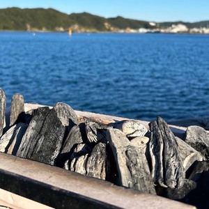 土佐備長炭 1箱×4kg ウバメガシ 姥目樫 木炭 キャンプ アウトドア バーベキュー BBQ 七輪 炭火焼き 防災グッズ ストーブ 囲炉裏 インテリア 除湿 消臭 国産【R01312】