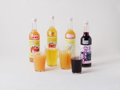 大江の恵 果実の森4種ジュース(各500ml山ブドウ・ラフランス・フジ紅玉） 003-028