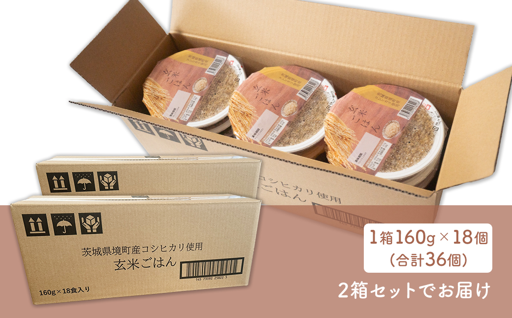 【最短翌日発送】茨城県境町産 コシヒカリ使用 玄米ごはん 160g×36個 パックライス ライスパック パックご飯 K2700