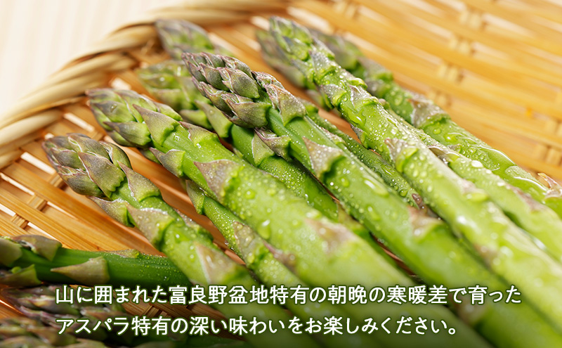 2026年夏～発送 富良野の人気の野菜 定期便 年4回  北海道 富