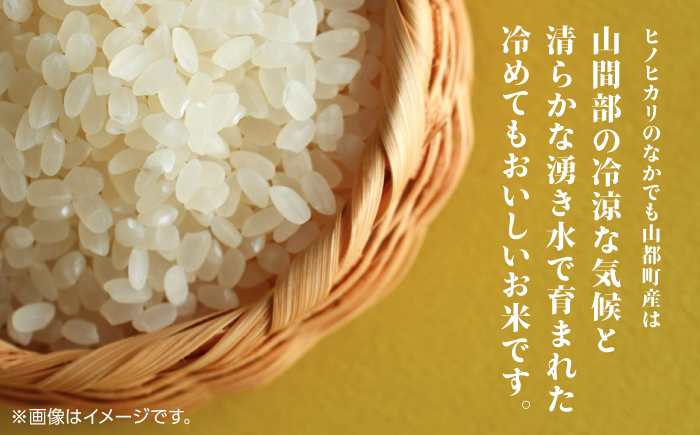 【限定数量】令和5年産 熊本県 山都町産 ひのひかり 計10kg(5kg×2) こめ 米 ヒノヒカリ ひのひかり 山都町 ヒノヒカリ 【株式会社 米久】[YDB001]