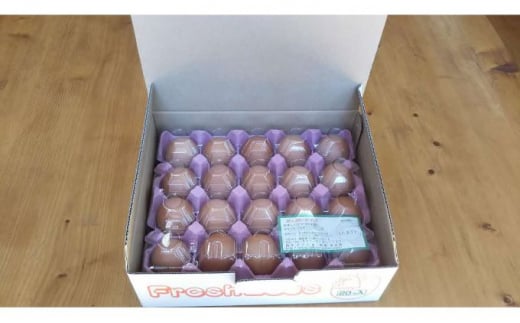 ≪飯能産≫放し飼いたまご 20個[52210675]