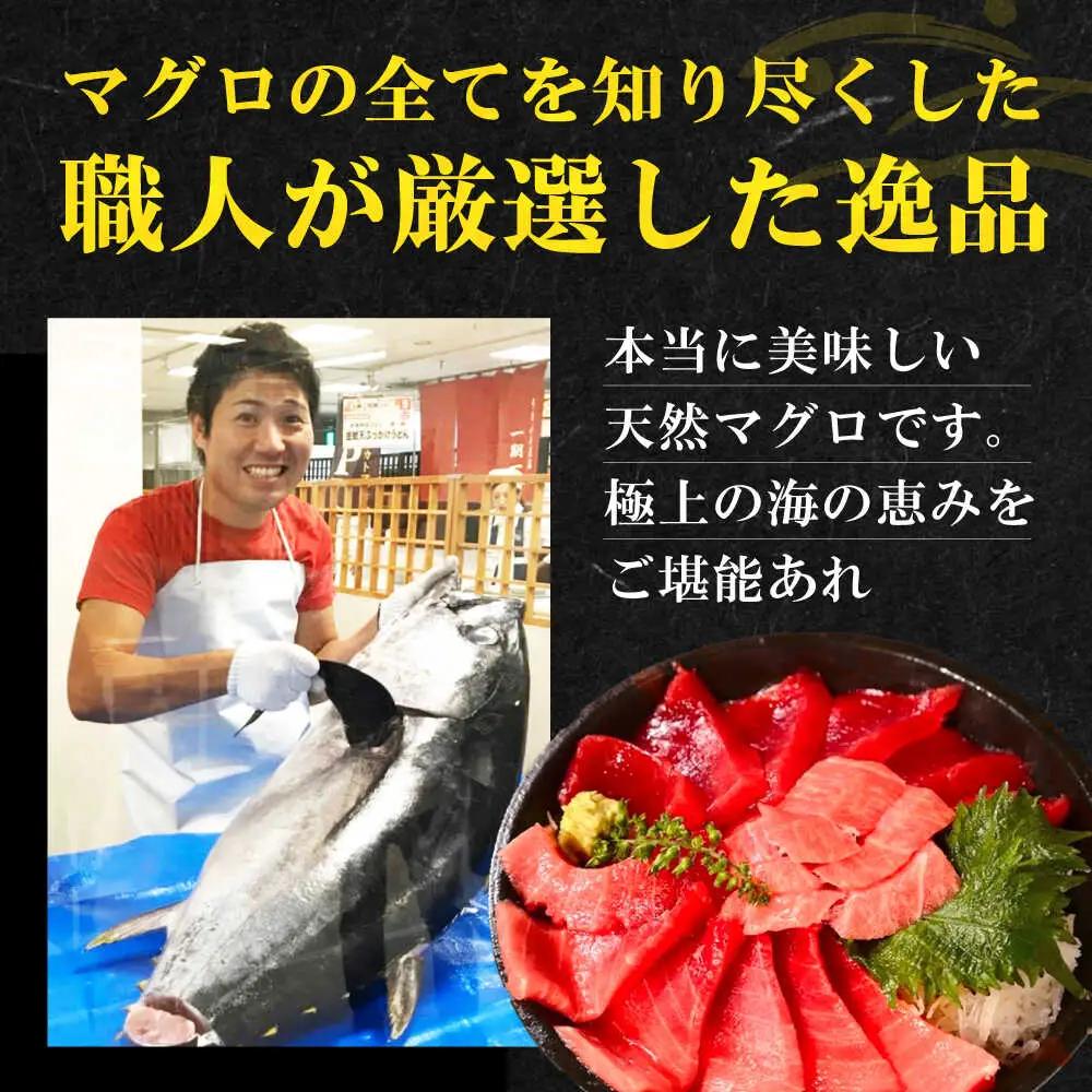 【全12回定期便】たね熟天然本まぐろ赤身(960g)[AOCE021]マグロ
