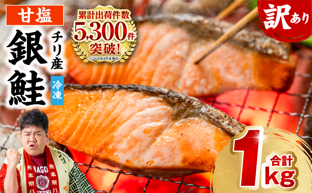 銀鮭 切り身 たっぷり合計 1kg （鮭 塩鮭 サケ サーモン 甘塩 切身 切り身 大容量 人気の鮭 カマ 希少 魚 鮮魚 冷凍）
