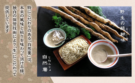 伊豆さくら亭 お食事補助券 5,000円分 チケット 食事 補助券 お食事処 蕎麦 石臼挽き二八そば 自然薯 桜エビのかき揚げ 粘り 濃厚な旨味 河津町 静岡県 食事券 静岡
