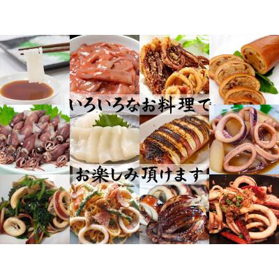 ふるさと納税 香美町 (先行予約)香住のイカづくしセット(令和7年6月下旬以降の発送) |  | 02